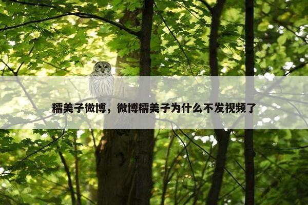糯美子微博，微博糯美子为什么不发视频了