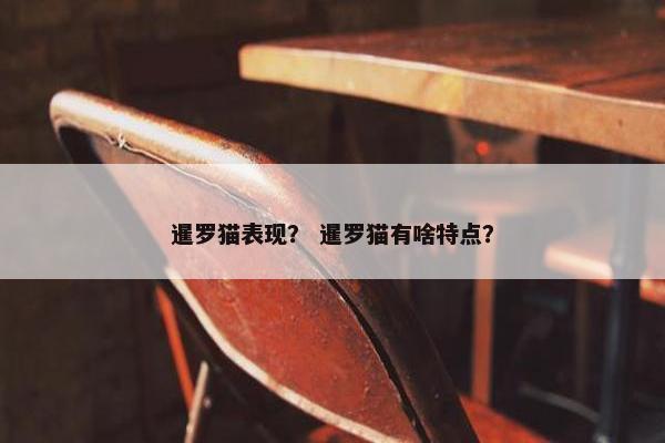 暹罗猫表现？ 暹罗猫有啥特点？