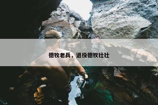 德牧老兵，退役德牧壮壮