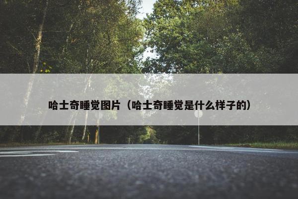 哈士奇睡觉图片（哈士奇睡觉是什么样子的）