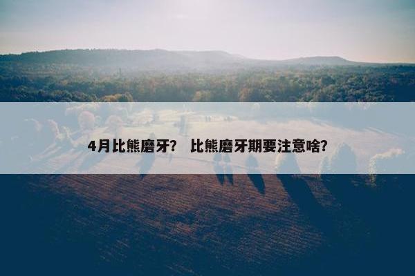 4月比熊磨牙？ 比熊磨牙期要注意啥？