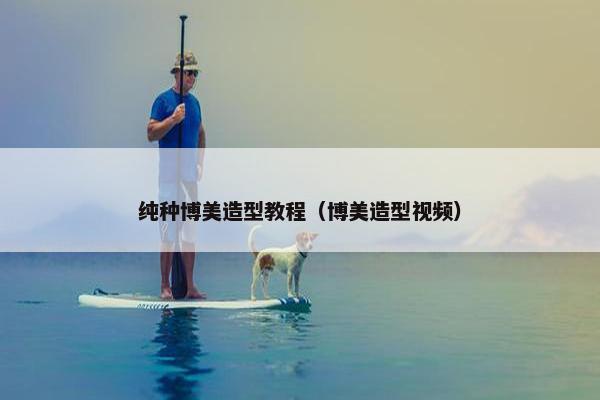 纯种博美造型教程（博美造型视频）