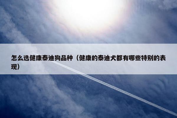 怎么选健康泰迪狗品种（健康的泰迪犬都有哪些特别的表现）