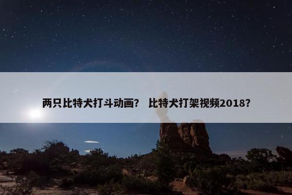 两只比特犬打斗动画？ 比特犬打架视频2018？
