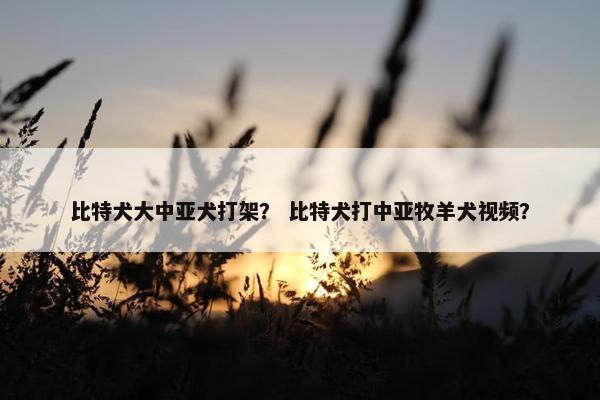 比特犬大中亚犬打架？ 比特犬打中亚牧羊犬视频？