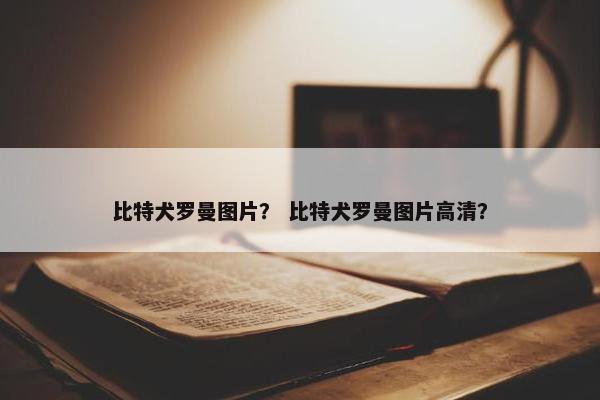 比特犬罗曼图片？ 比特犬罗曼图片高清？
