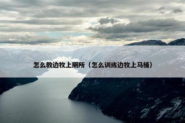 怎么教边牧上厕所（怎么训练边牧上马桶）