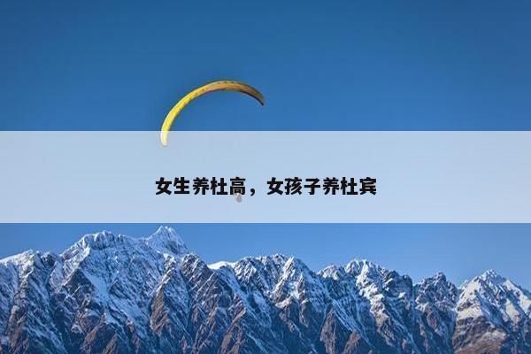 女生养杜高，女孩子养杜宾