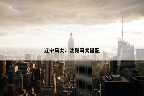 辽宁马犬，沈阳马犬借配