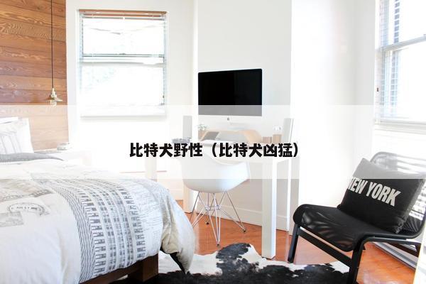 比特犬野性（比特犬凶猛）