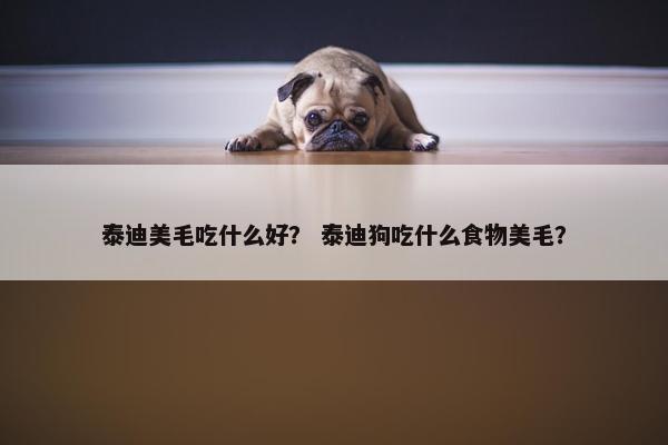 泰迪美毛吃什么好？ 泰迪狗吃什么食物美毛？