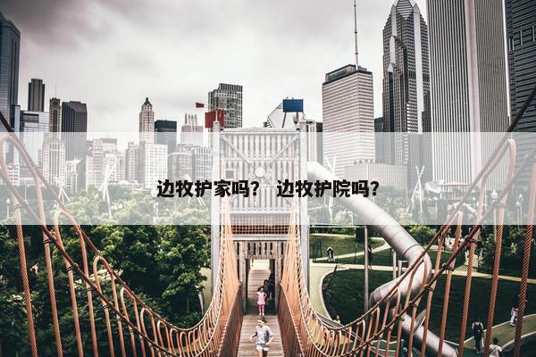 边牧护家吗？ 边牧护院吗？