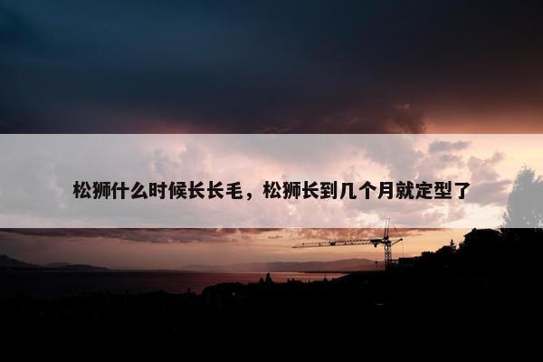 松狮什么时候长长毛，松狮长到几个月就定型了