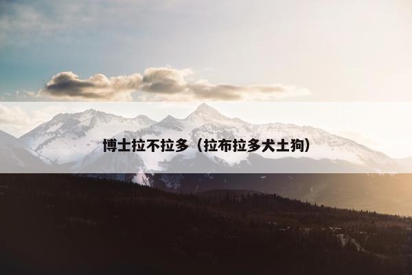 博士拉不拉多（拉布拉多犬土狗）