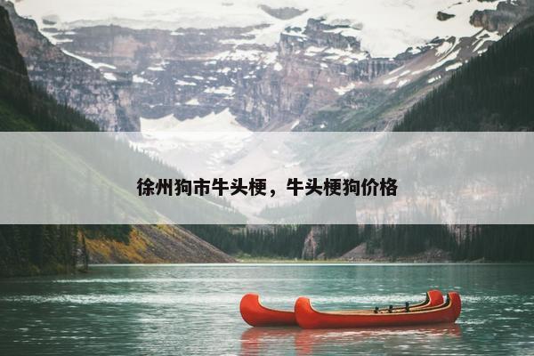徐州狗市牛头梗，牛头梗狗价格
