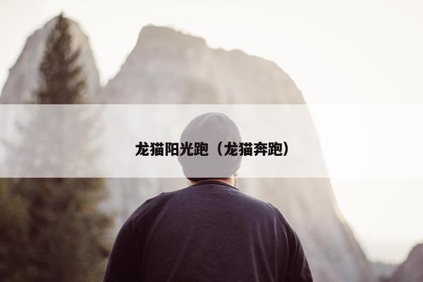 龙猫阳光跑（龙猫奔跑）