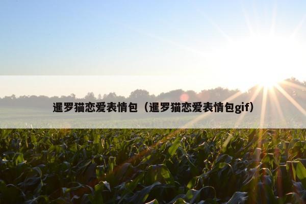 暹罗猫恋爱表情包（暹罗猫恋爱表情包gif）