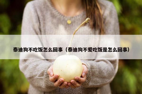 泰迪狗不吃饭怎么回事（泰迪狗不爱吃饭是怎么回事）