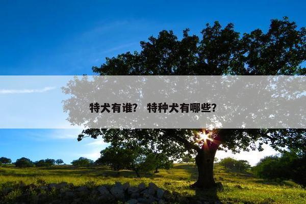 特犬有谁？ 特种犬有哪些？