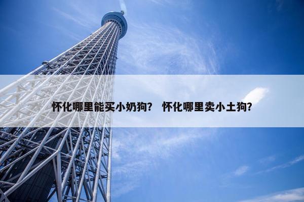怀化哪里能买小奶狗？ 怀化哪里卖小土狗？