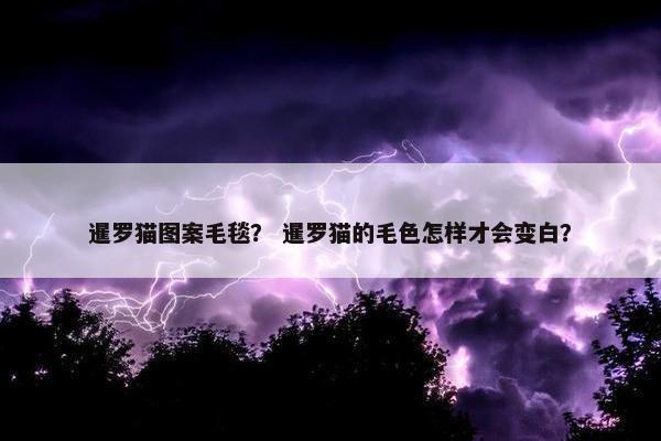暹罗猫图案毛毯？ 暹罗猫的毛色怎样才会变白？