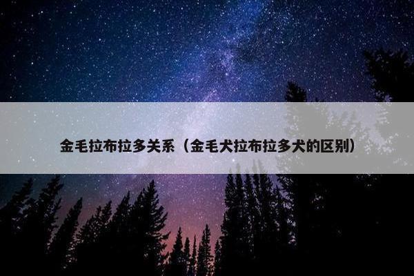金毛拉布拉多关系（金毛犬拉布拉多犬的区别）
