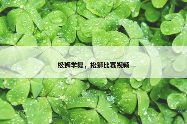 松狮学舞，松狮比赛视频