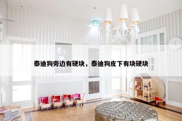 泰迪狗旁边有硬块，泰迪狗皮下有块硬块
