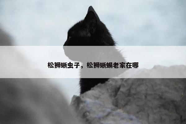 松狮蜥虫子，松狮蜥蜴老家在哪