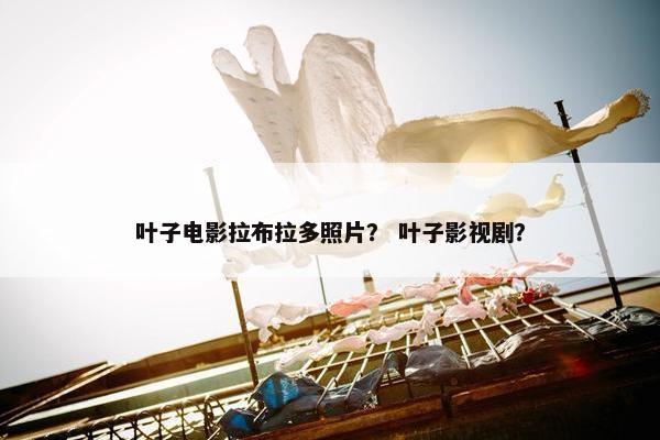 叶子电影拉布拉多照片？ 叶子影视剧？