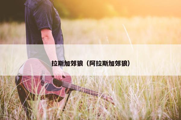 拉斯加郊狼（阿拉斯加郊狼）