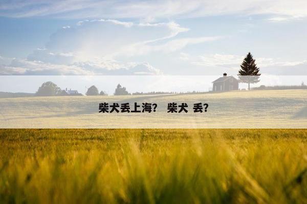 柴犬丢上海？ 柴犬 丢？