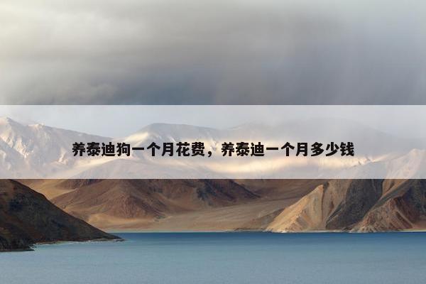 养泰迪狗一个月花费，养泰迪一个月多少钱