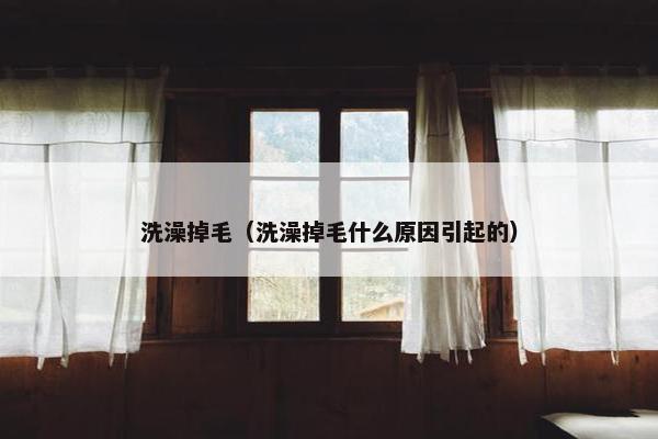 洗澡掉毛（洗澡掉毛什么原因引起的）