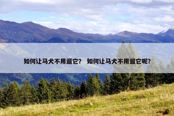 如何让马犬不用遛它？ 如何让马犬不用遛它呢？