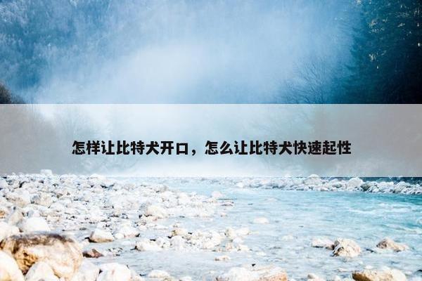 怎样让比特犬开口，怎么让比特犬快速起性