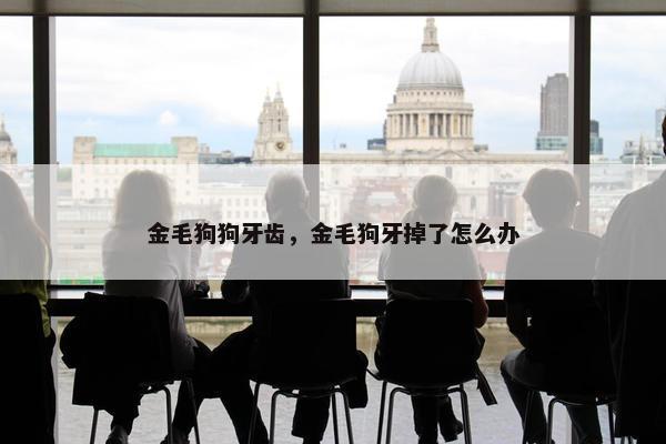 金毛狗狗牙齿，金毛狗牙掉了怎么办