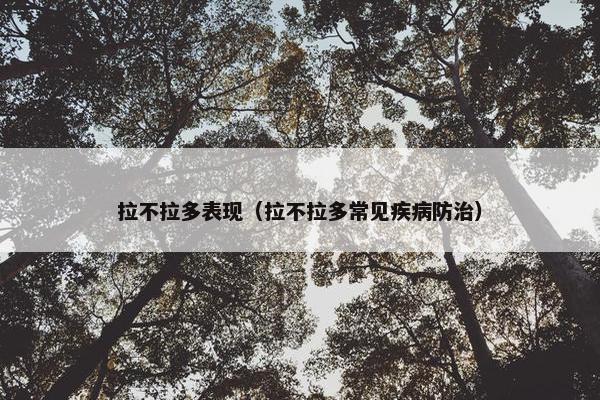 拉不拉多表现（拉不拉多常见疾病防治）