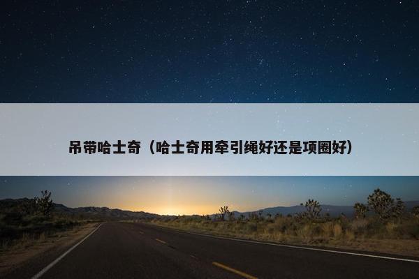 吊带哈士奇（哈士奇用牵引绳好还是项圈好）
