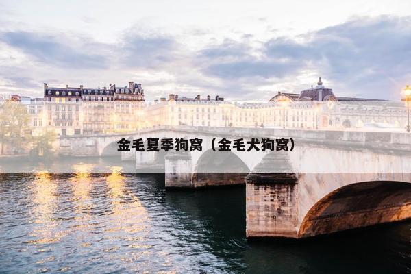 金毛夏季狗窝（金毛犬狗窝）