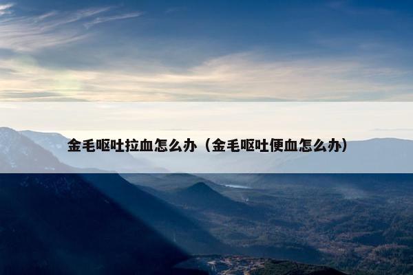 金毛呕吐拉血怎么办（金毛呕吐便血怎么办）