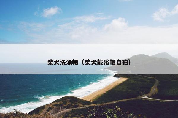 柴犬洗澡帽（柴犬戴浴帽自拍）