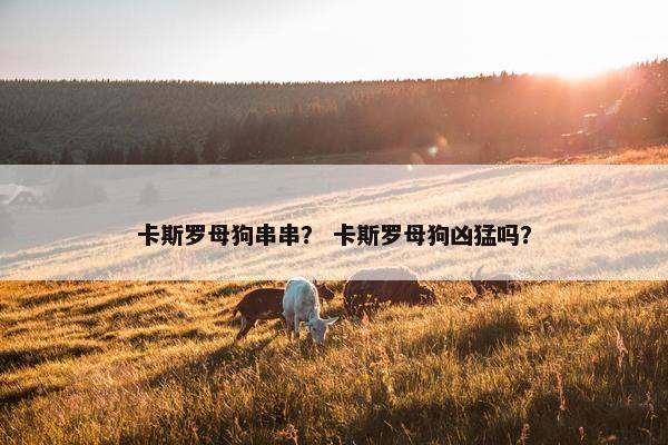 卡斯罗母狗串串？ 卡斯罗母狗凶猛吗？
