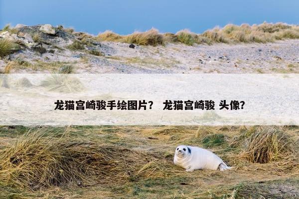 龙猫宫崎骏手绘图片？ 龙猫宫崎骏 头像？