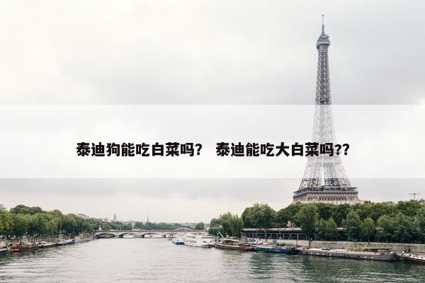 泰迪狗能吃白菜吗？ 泰迪能吃大白菜吗?？
