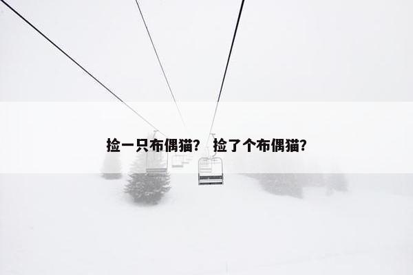 捡一只布偶猫？ 捡了个布偶猫？