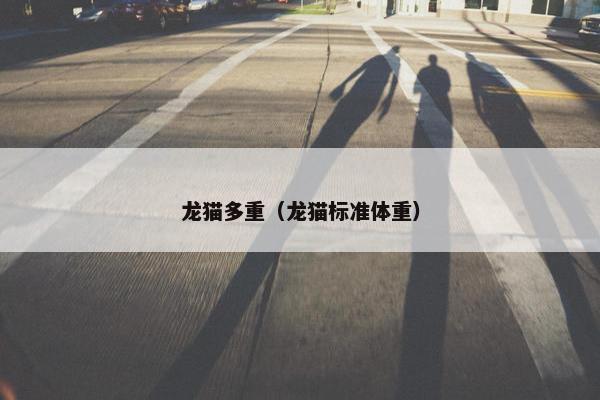 龙猫多重（龙猫标准体重）