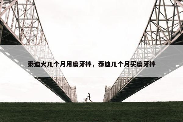 泰迪犬几个月用磨牙棒，泰迪几个月买磨牙棒