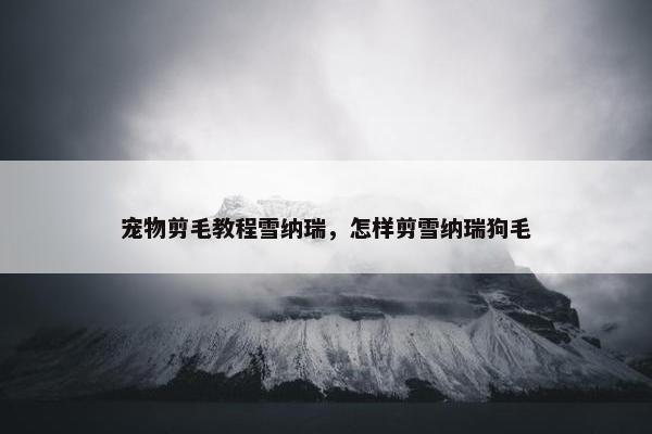 宠物剪毛教程雪纳瑞，怎样剪雪纳瑞狗毛
