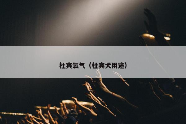 杜宾氧气（杜宾犬用途）